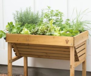 33 Best Herb Garden Ideas & How to Start a Herb Garden