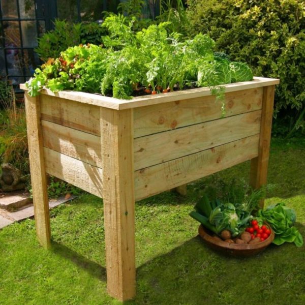 33 Best Herb Garden Ideas & How to Start a Herb Garden