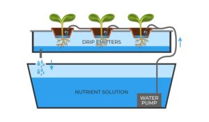 Hydroponics: a Get Started with Hydroponic Systems Guide