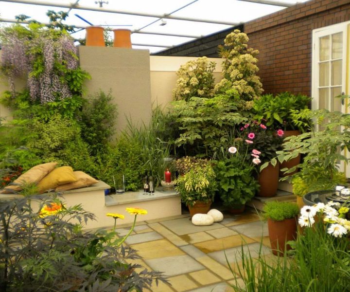 terrace gardening design