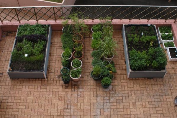 33 Best Herb Garden Ideas & How to Start a Herb Garden