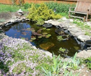 41 Great Water Gardening Ideas & How to Build a Water Garden