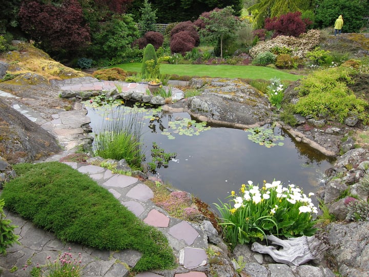 41 Great Water Gardening Ideas & How to Build a Water Garden