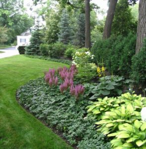 35 Great Shade Gardening Ideas & Shade Cloth Garden Guide