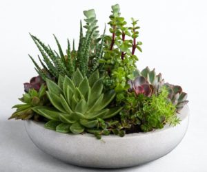 31 Authentic Zen Garden Ideas to Bring Calm to Your Life