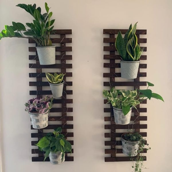 Planted Wall Ultimate Guide: 47 Cool Ways to Do a Plant Wall