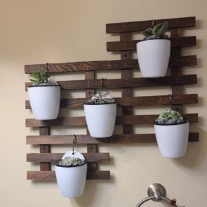 Planted Wall Ultimate Guide: 47 Cool Ways to Do a Plant Wall