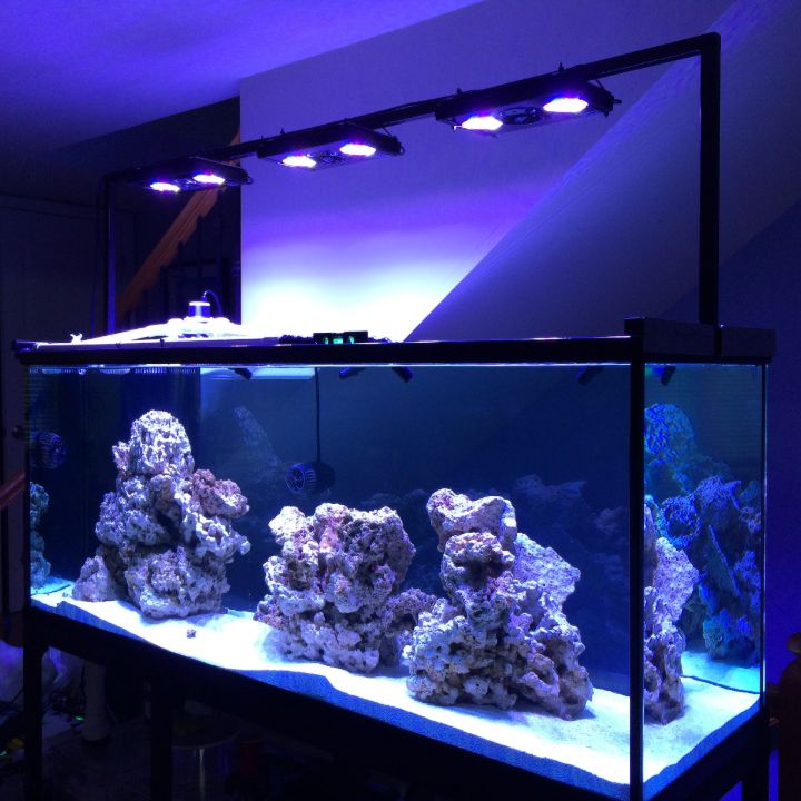 fish aquarium lights